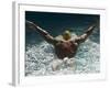 Young Woman Swimming the Butterfly Stroke in a Swimming Pool, Bainbridge Island, Washington, USA-null-Framed Photographic Print