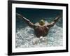 Young Woman Swimming the Butterfly Stroke in a Swimming Pool, Bainbridge Island, Washington, USA-null-Framed Photographic Print