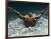 Young Woman Swimming the Butterfly Stroke in a Swimming Pool, Bainbridge Island, Washington, USA-null-Framed Photographic Print