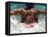 Young Woman Swimming the Butterfly Stroke in a Swimming Pool, Bainbridge Island, Washington, USA-null-Framed Stretched Canvas