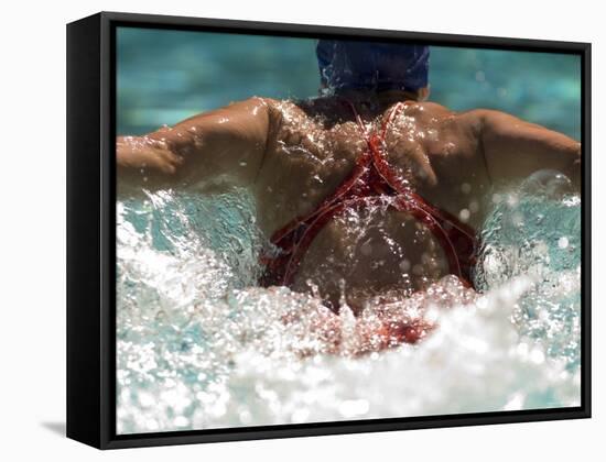 Young Woman Swimming the Butterfly Stroke in a Swimming Pool, Bainbridge Island, Washington, USA-null-Framed Stretched Canvas