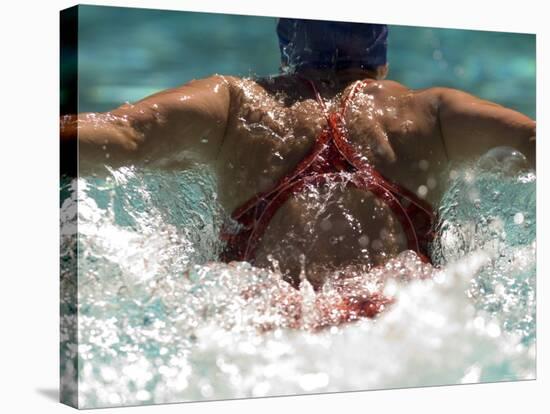 Young Woman Swimming the Butterfly Stroke in a Swimming Pool, Bainbridge Island, Washington, USA-null-Stretched Canvas