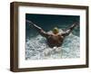 Young Woman Swimming the Butterfly Stroke in a Swimming Pool, Bainbridge Island, Washington, USA-null-Framed Photographic Print