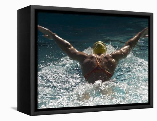 Young Woman Swimming the Butterfly Stroke in a Swimming Pool, Bainbridge Island, Washington, USA-null-Framed Stretched Canvas