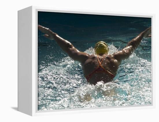 Young Woman Swimming the Butterfly Stroke in a Swimming Pool, Bainbridge Island, Washington, USA-null-Framed Stretched Canvas