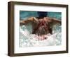 Young Woman Swimming the Butterfly Stroke in a Swimming Pool, Bainbridge Island, Washington, USA-null-Framed Photographic Print