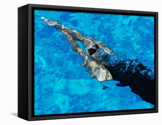 Young Woman Swimming Underwater in a Swimming Pool-null-Framed Stretched Canvas