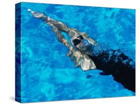 Young Woman Swimming Underwater in a Swimming Pool-null-Stretched Canvas