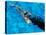 Young Woman Swimming Underwater in a Swimming Pool-null-Stretched Canvas