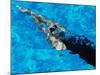 Young Woman Swimming Underwater in a Swimming Pool-null-Mounted Photographic Print