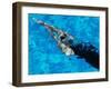 Young Woman Swimming Underwater in a Swimming Pool-null-Framed Photographic Print