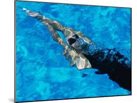 Young Woman Swimming Underwater in a Swimming Pool-null-Mounted Photographic Print