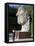 Young Woman Taking Photograph of the Monumental Head, by Igor Mitora, Boboli Gardens, Florence, Tus-Peter Barritt-Framed Stretched Canvas