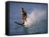 Young Woman Waterskiing-null-Framed Stretched Canvas