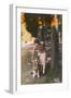 Young Woman with a German Shepherd Dog, France-null-Framed Photographic Print