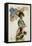 Young Woman with a Parasol and a Basket of Flowers-null-Framed Stretched Canvas