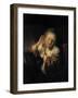 Young Woman with Earrings, 1657, by Rembrandt Harmenszoon van Rijn (1606-1669)-Rembrandt van Rijn-Framed Giclee Print