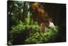 Young Woman with Long Hair-Carolina Hernandez-Stretched Canvas