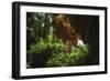 Young Woman with Long Hair-Carolina Hernandez-Framed Photographic Print