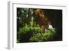 Young Woman with Long Hair-Carolina Hernandez-Framed Photographic Print