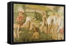 Young Women Bathing-Bernardino Luini-Framed Stretched Canvas