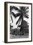 Young Women in Polynesian-Flapper Costumes Lounge under a Coconut Palm-null-Framed Photographic Print