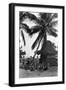 Young Women in Polynesian-Flapper Costumes Lounge under a Coconut Palm-null-Framed Photographic Print