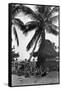 Young Women in Polynesian-Flapper Costumes Lounge under a Coconut Palm-null-Framed Stretched Canvas