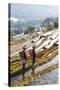 Young Women of the Hani Ethnic Minority Walking in the Rice Terraces, Yuanyang, Yunnan, China-Nadia Isakova-Stretched Canvas