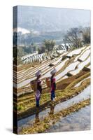 Young Women of the Hani Ethnic Minority Walking in the Rice Terraces, Yuanyang, Yunnan, China-Nadia Isakova-Stretched Canvas