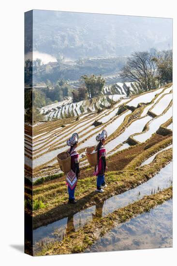 Young Women of the Hani Ethnic Minority Walking in the Rice Terraces, Yuanyang, Yunnan, China-Nadia Isakova-Stretched Canvas