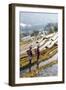 Young Women of the Hani Ethnic Minority Walking in the Rice Terraces, Yuanyang, Yunnan, China-Nadia Isakova-Framed Photographic Print