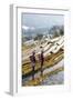 Young Women of the Hani Ethnic Minority Walking in the Rice Terraces, Yuanyang, Yunnan, China-Nadia Isakova-Framed Photographic Print