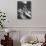 Young Women Playing Basketball-null-Photographic Print displayed on a wall