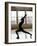 Young Women Stretching During Exercise Session, New York, New York, USA-Chris Trotman-Framed Photographic Print