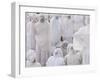 Young Women, Timket (Celebration of Epithany, Christian Orthodox Church) Addis Ababa, Ethiopia-Peter Adams-Framed Photographic Print