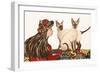 Young women with Siamese Cats-Susan Adams-Framed Giclee Print