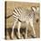 Young Zebra-Susann Parker-Stretched Canvas