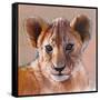 Youngest Cub, Masai Mara, 2019, (conté and pastel on paper)-Mark Adlington-Framed Stretched Canvas