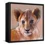 Youngest Cub, Masai Mara, 2019, (conté and pastel on paper)-Mark Adlington-Framed Stretched Canvas