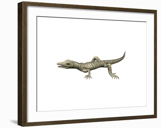 Youngina Capensis, Late Permian of South Africa-null-Framed Art Print