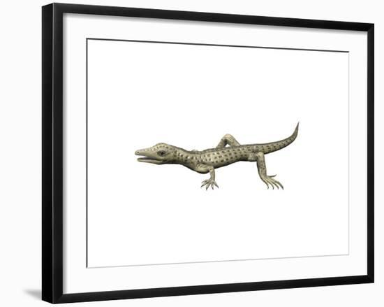 Youngina Capensis, Late Permian of South Africa-null-Framed Art Print