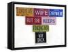 Youngman I Drive My Wife-Gregory Constantine-Framed Stretched Canvas