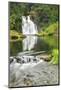 Youngs Falls near Astoria, Oregon-Stuart Westmorland-Mounted Photographic Print