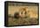 Youngs Lion Stalking Porcupine-Paul Souders-Framed Stretched Canvas