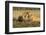 Youngs Lion Stalking Porcupine-Paul Souders-Framed Photographic Print