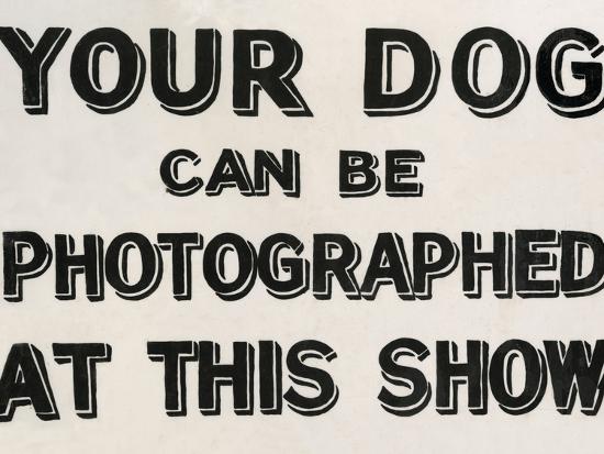 Photographic Print, , large