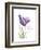 Your Heart Tulip-Albert Koetsier-Framed Art Print