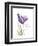 Your Heart Tulip-Albert Koetsier-Framed Art Print