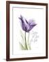 Your Heart Tulip-Albert Koetsier-Framed Art Print